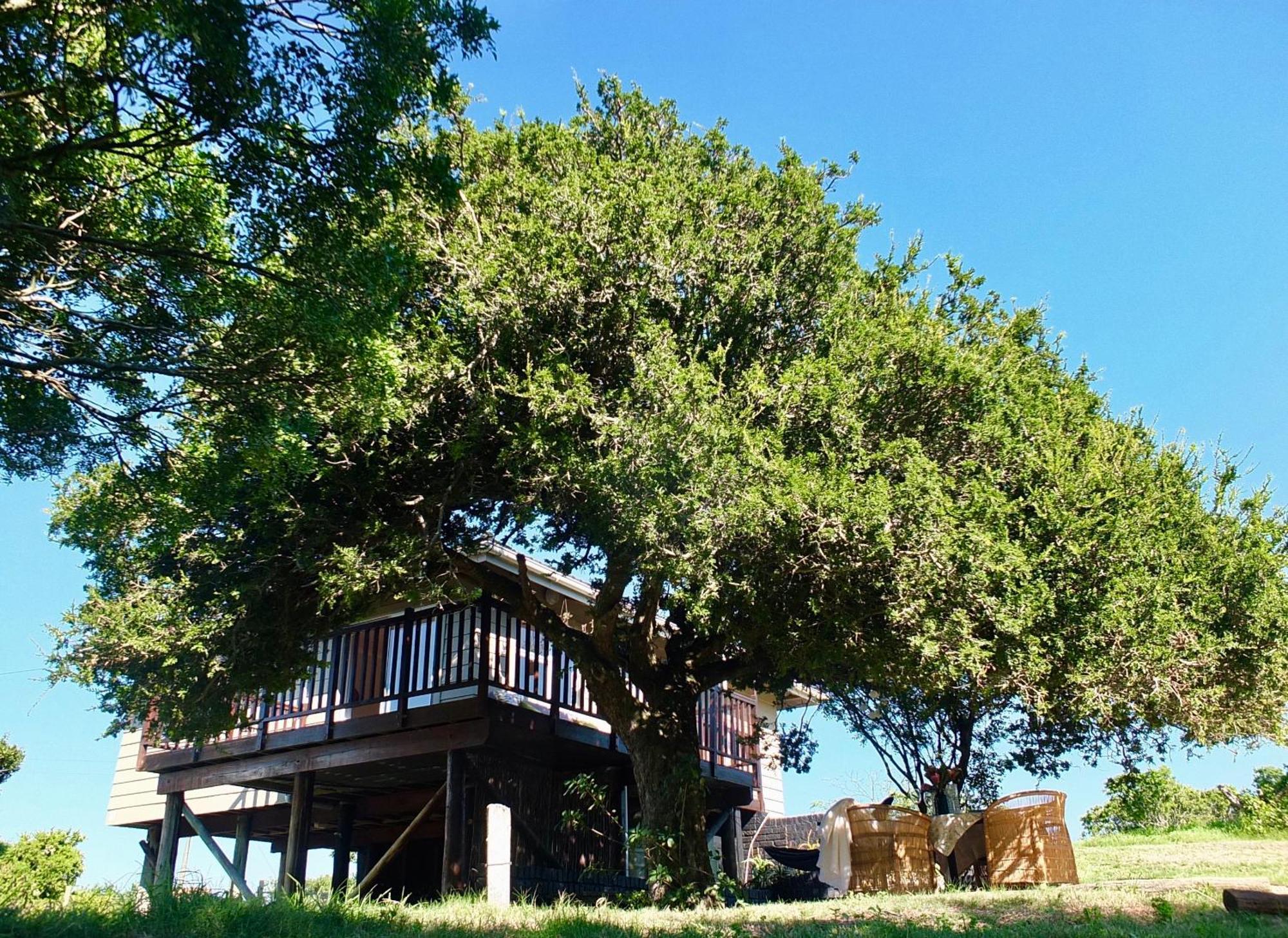 פורט אליזבת' Soutelande Country Stay - Close To 1#Beach In Pe מראה חיצוני תמונה