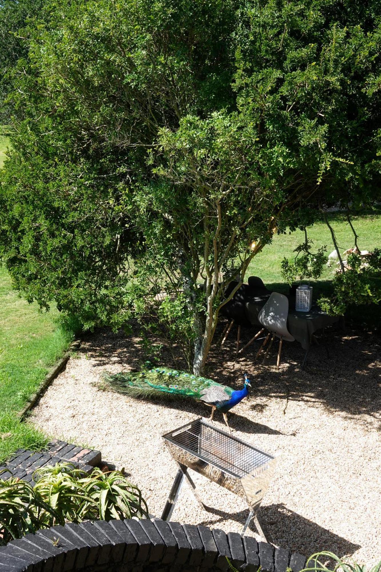 פורט אליזבת' Soutelande Country Stay - Close To 1#Beach In Pe מראה חיצוני תמונה